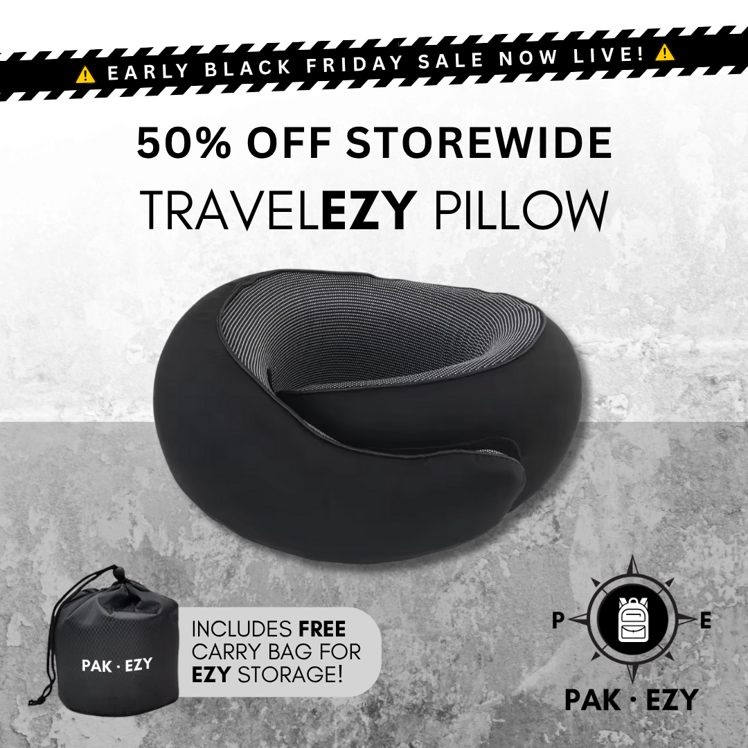 TravelEZY Pillow