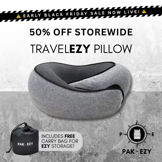 TravelEZY Pillow