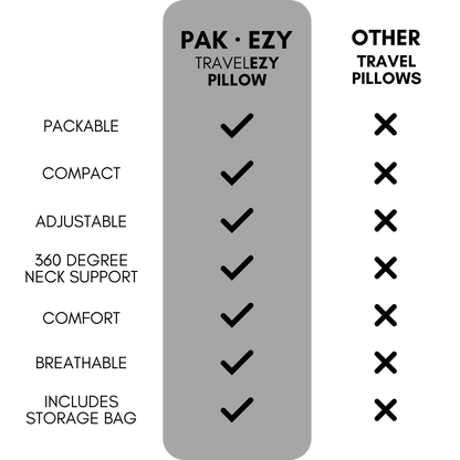 TravelEZY Pillow